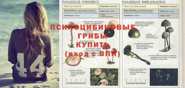 ALPHA PVP Баксан